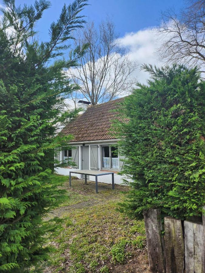 コクセッド Maison Sunpark Oostduinkerk 550ヴィラ エクステリア 写真